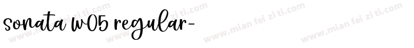 sonata w05 regular字体转换